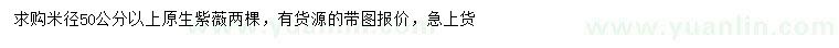 求購米徑50公分以上原生紫薇
