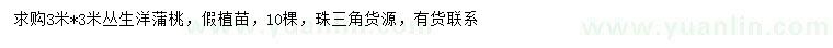 求購3*3米叢生洋蒲桃
