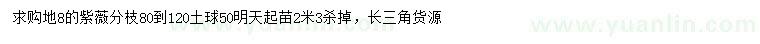 求購地徑8公分紫薇