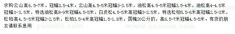 求購(gòu)云杉、油松、白皮松等