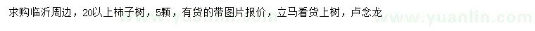 求購20公分以上柿子樹