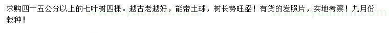 求購(gòu)45公分以上七葉樹