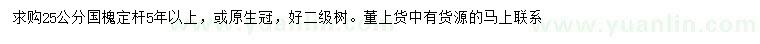 求購25公分國槐