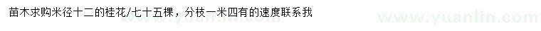 求購(gòu)米徑12公分桂花