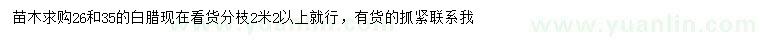 求購26、35公分白蠟