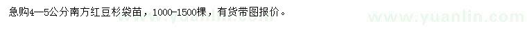 求購4-5公分南方紅豆杉