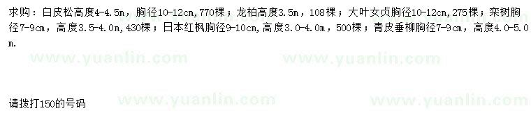 求購(gòu)白皮松、龍柏、大葉女貞等