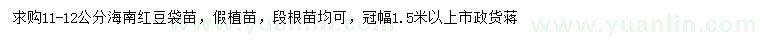 求購11-12公分海南紅豆