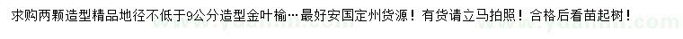 求購地徑9公分以上造型金葉榆