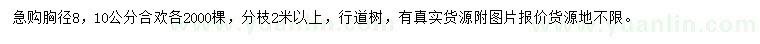 求購胸徑8、10公分合歡
