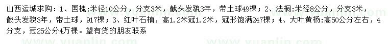 求購國槐、法桐、紅葉石楠等