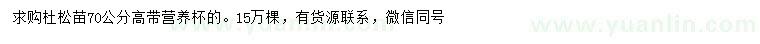 求購高70公分杜松苗