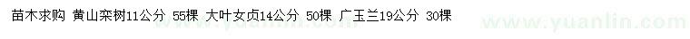 求購黃山欒、大葉女貞、廣玉蘭