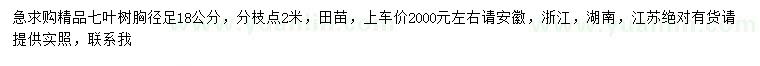 求購胸徑18公分七葉樹