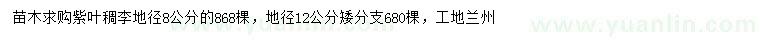 求購地徑8、12公分紫葉稠李