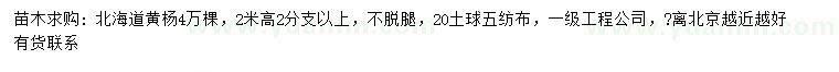 求購高2米北海道黃楊