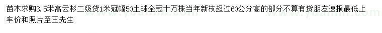 求購(gòu)高3.5米云杉