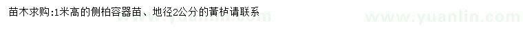 求購(gòu)地徑2公分側(cè)柏