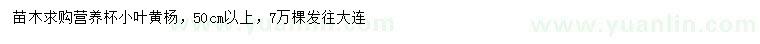 求購50公分以上小葉黃楊
