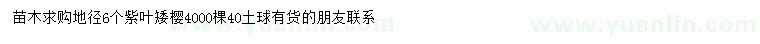 求購地徑6公分紫葉矮櫻
