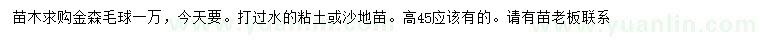 求購高45公分金森毛球