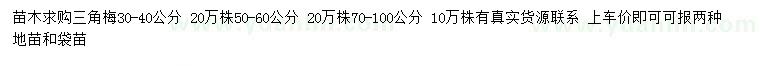 求購30-40、50-60、70-100公分三角梅