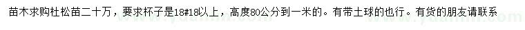求購80-100公分杜松苗