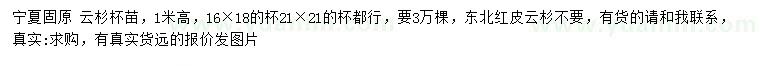 求購高1米云杉
