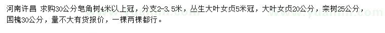 求購皂角樹、叢生大葉女貞、欒樹等