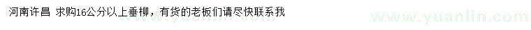 求購(gòu)16公分以上垂柳