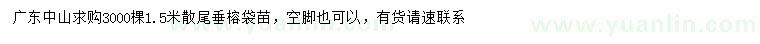 求購(gòu)1.5米散尾垂榕