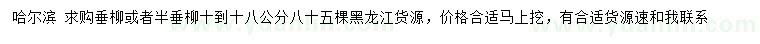 求購(gòu)10-18公分垂柳或者半垂柳