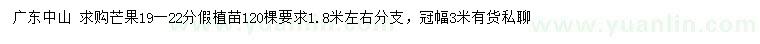 求購19-22公分芒果假植苗
