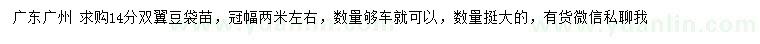 求購(gòu)14公分雙翼豆