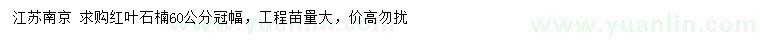 求購(gòu)冠幅60公分紅葉石楠