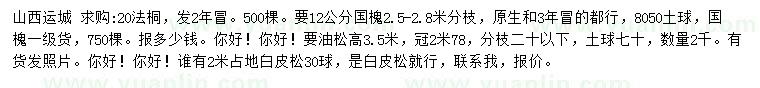 求購法桐、國槐、油松等