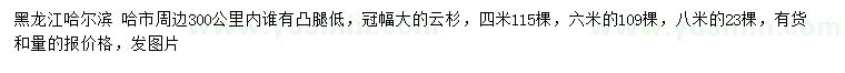 求購(gòu)4、6、8米云杉
