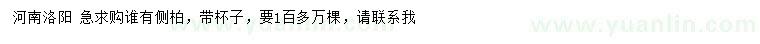 求購側柏
