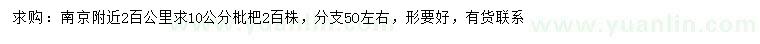 求購10公分枇杷