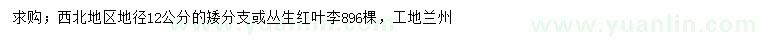 求購地徑12公分叢生紅葉李