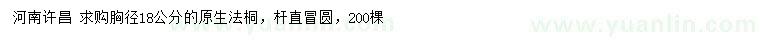 求購胸徑18公分原生法桐