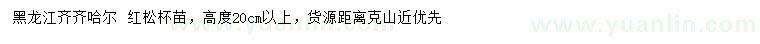 求購高度20公分以上紅松