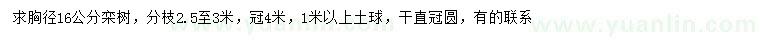 求購(gòu)胸徑16公分欒樹