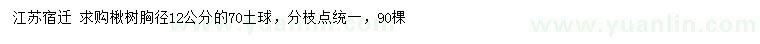 求購(gòu)胸徑12公分楸樹(shù)