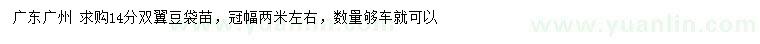 求購(gòu)14公分雙翼豆
