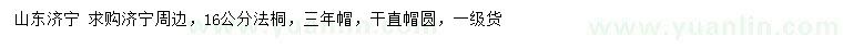 求購16公分法桐