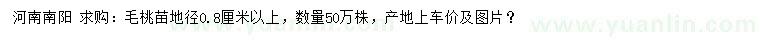 求購地徑0.8公分以上毛桃苗