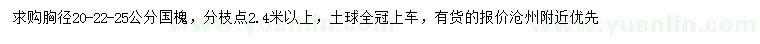 求購胸徑20、22、25公分國槐