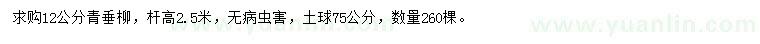 求購12公分青垂柳