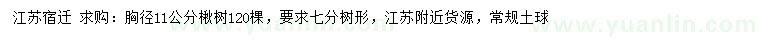 求購(gòu)胸徑11公分楸樹